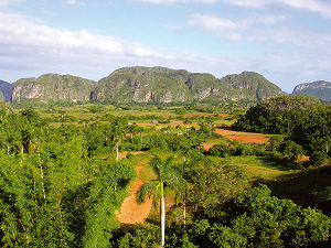 Куба, Пинар дель Рио, Долина Аллей (Valle de Viales)